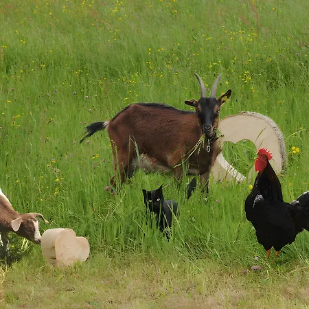 Trenklehof Vakantieboerderij Simonswald