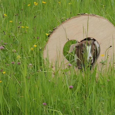 Vakantieboerderij Trenklehof Simonswald