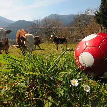 Trenklehof Vakantieboerderij