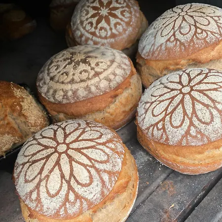 Trenklehof Vakantieboerderij