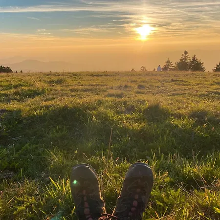 Trenklehof * Simonswald