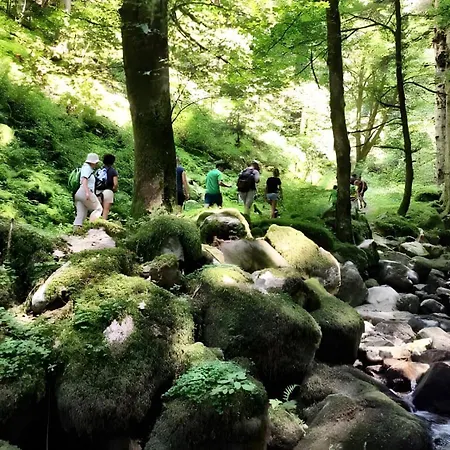 Alojamento de Turismo Rural Trenklehof Simonswald