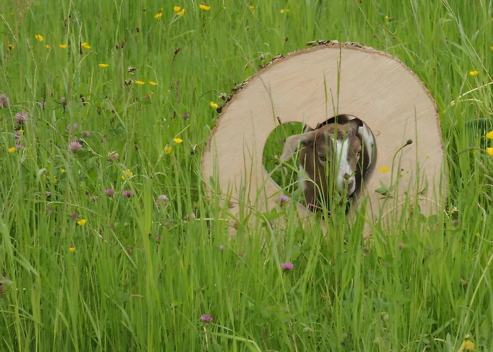 Farma Trenklehof Simonswald